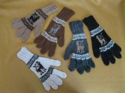 Native Alpaca Gloves -5 Pack