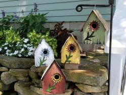 Birdhouse Home for rent