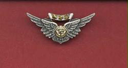US Navy and Marine Corps USMC Combat Aircrew Wings Badge with gold stars full size or half size