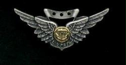 Navy or Marine USMC Combat AirCrew Wings Badge