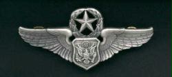 Chief Officer Air Crew Wings Badge