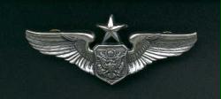 Senior Officer Air Crew Wings Badge