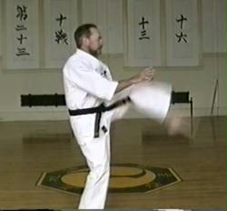 Basic Course - Uechi-ryu Karate (4-DVDs)