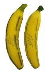 Multiplying Sponge Bananas